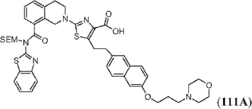 Figure BDA0000083236130002902
