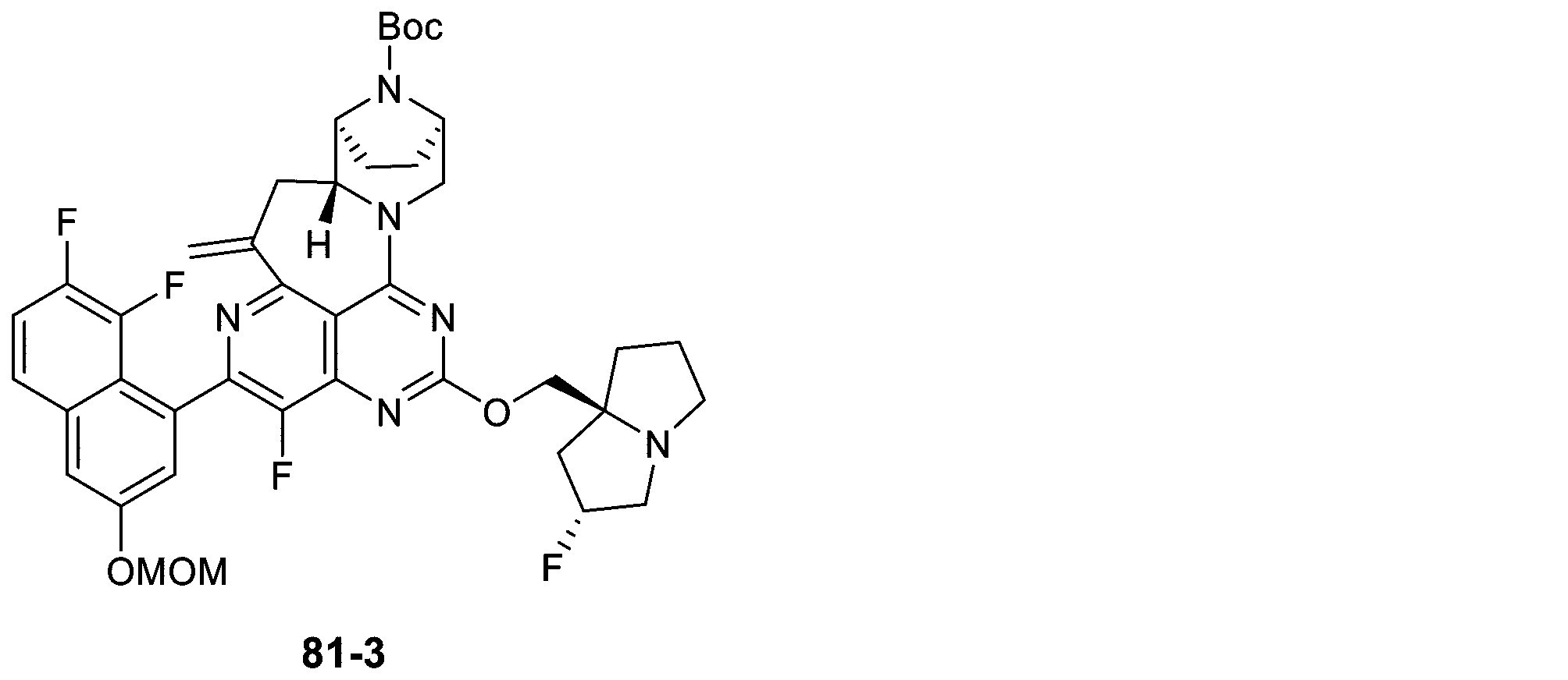 Figure 2025513258000314