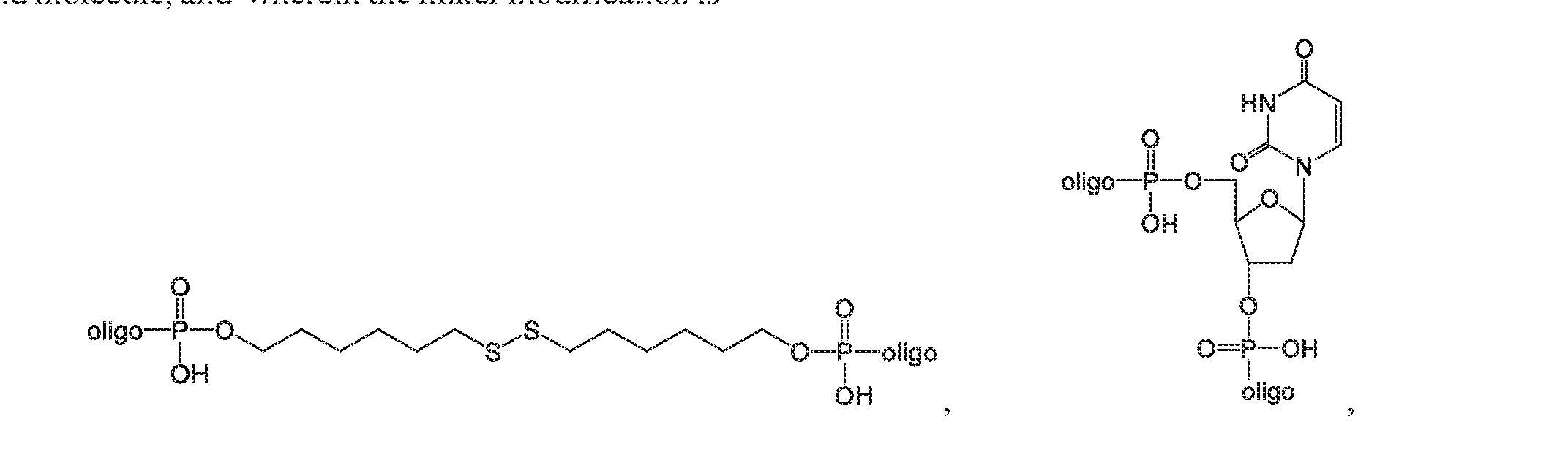 Figure imgf000004_0002