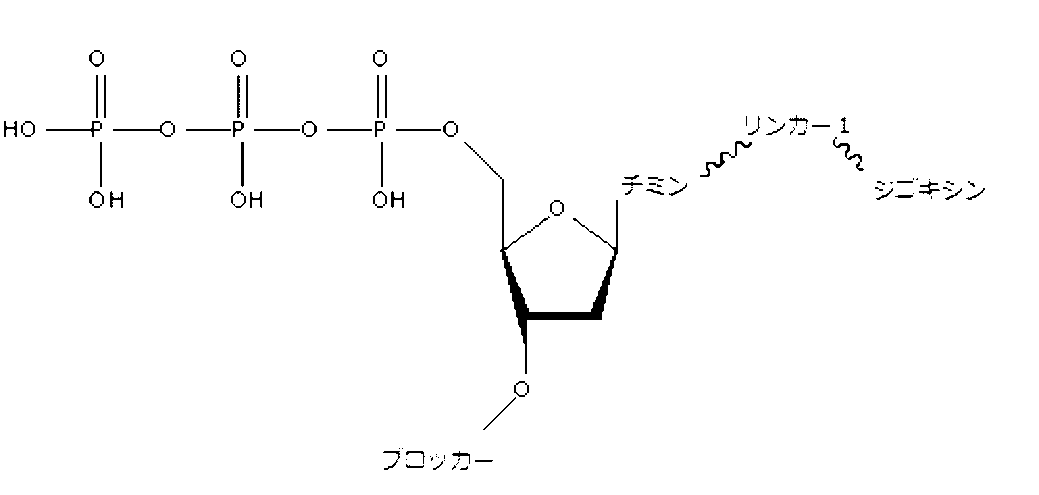 Figure 0007523526000019