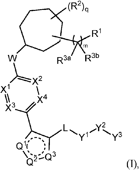 Figure imgf000004_0001