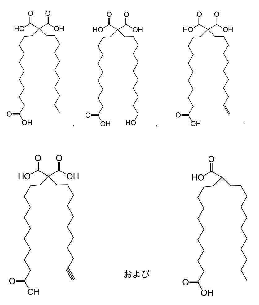 Figure 2022095757000224