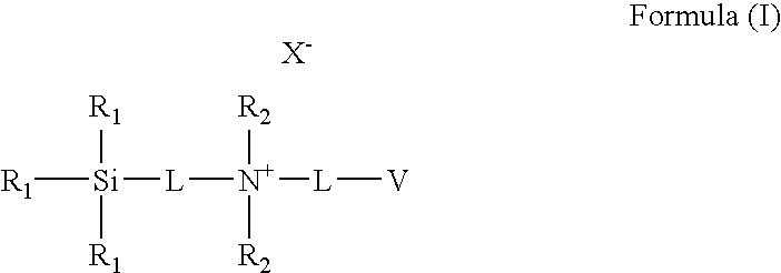 Figure US20070142583A1-20070621-C00012