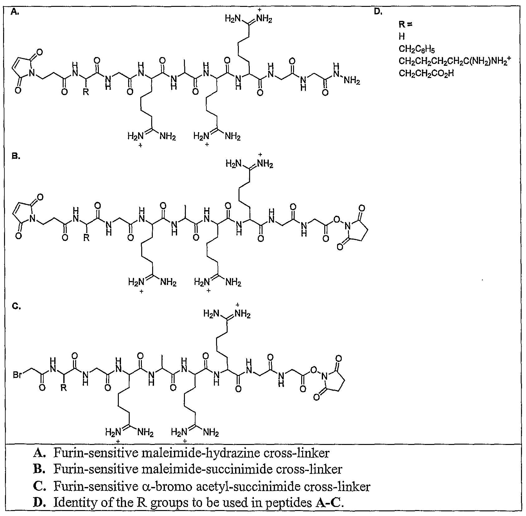 Figure imgf000045_0001