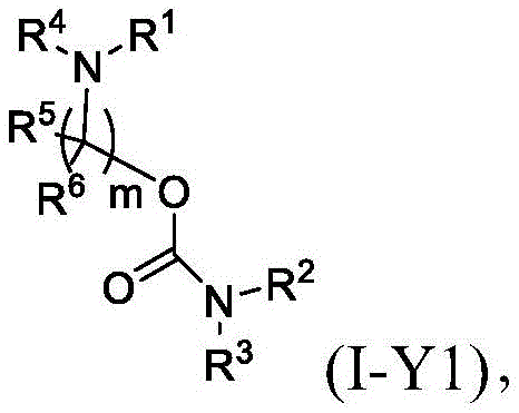 Figure BDA0003652566710001303