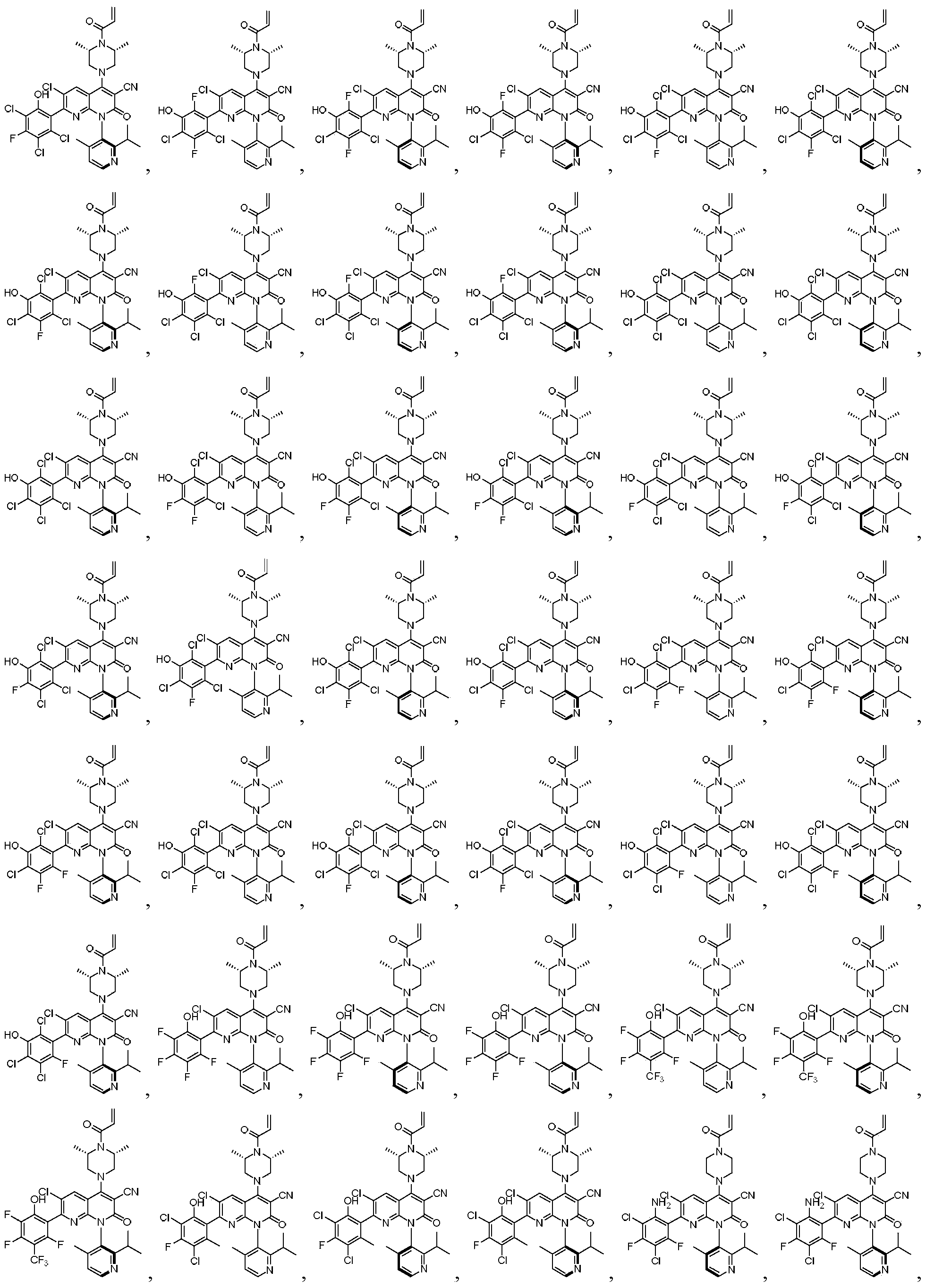 Figure PCTCN2020137497-appb-100042