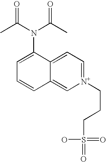 Figure US20070010573A1-20070111-C00250