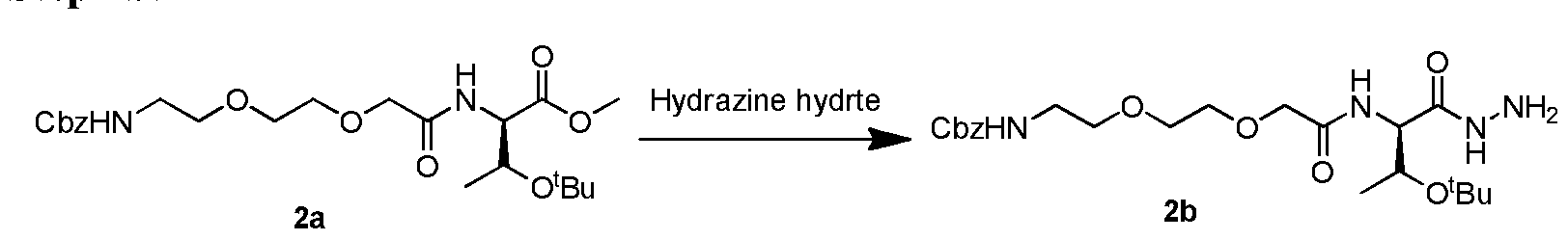 Figure imgf000025_0002