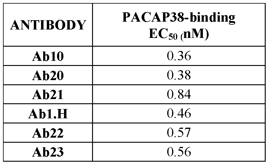 Figure imgf000251_0001