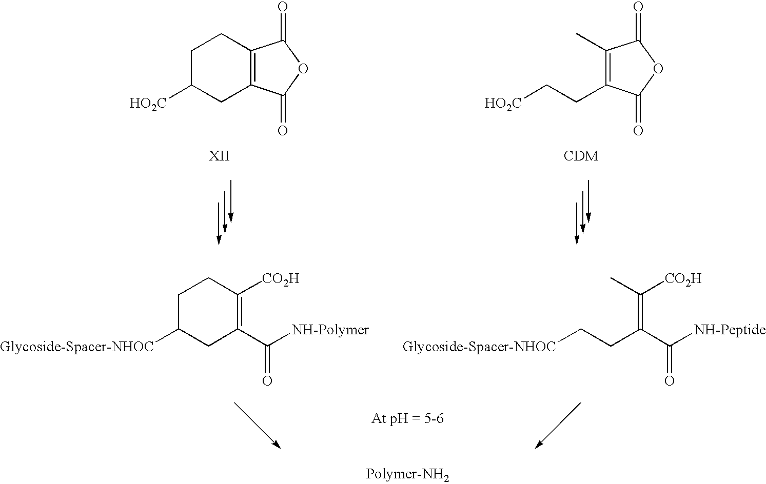 Figure US20080281044A1-20081113-C00014