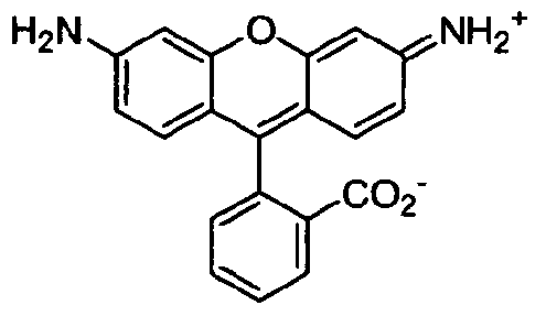 Figure imgf000025_0003