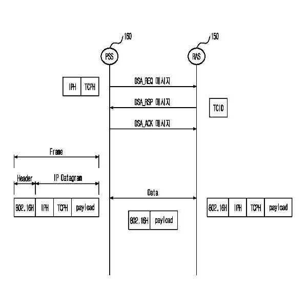 Figure R1020060096312