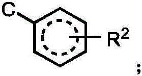 Figure BDA0003101608300000074