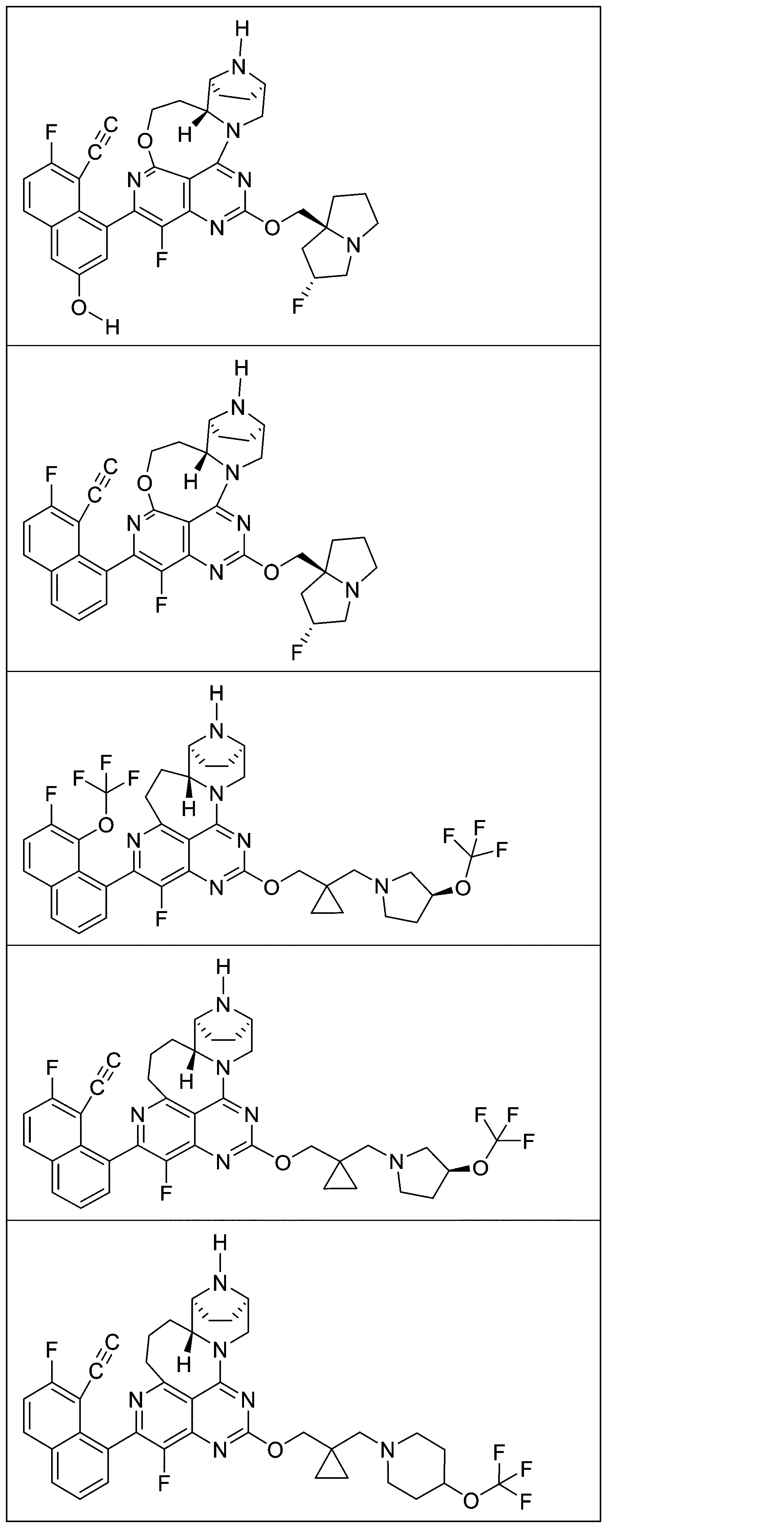 Figure 2025513258000974