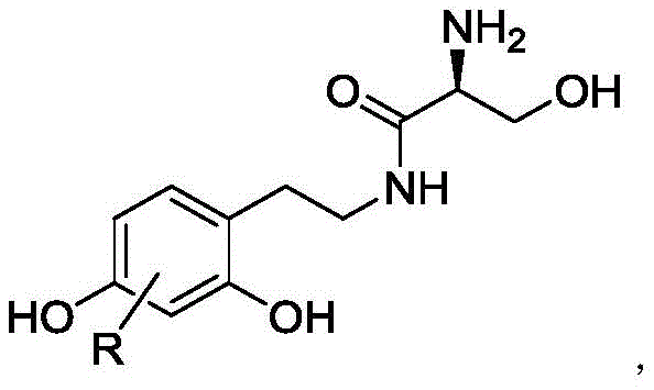 Figure FDA0002422286940000045