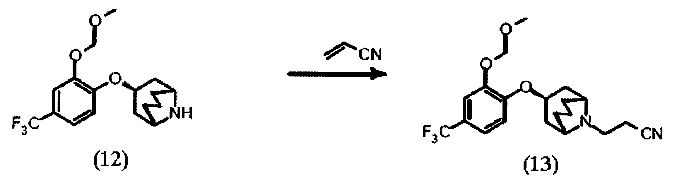 Figure JPOXMLDOC01-appb-C000028
