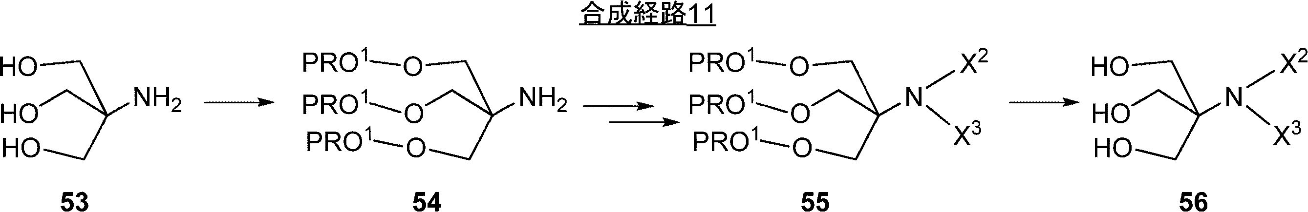 Figure JPOXMLDOC01-appb-C000100