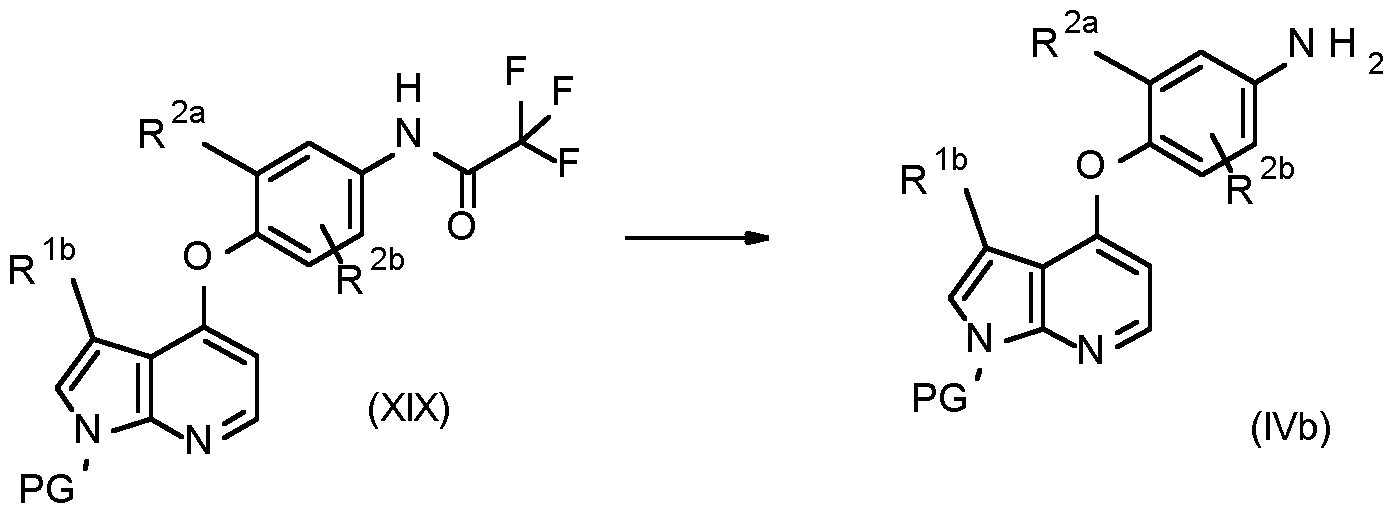 Figure imgf000082_0002