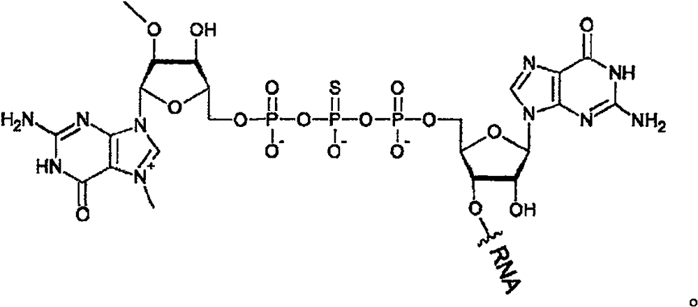 Figure BPA0000310332810000303