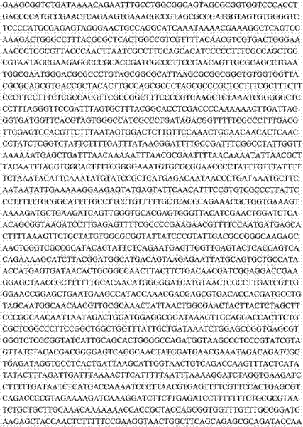 Figure 322459DEST_PATH_IMAGE048