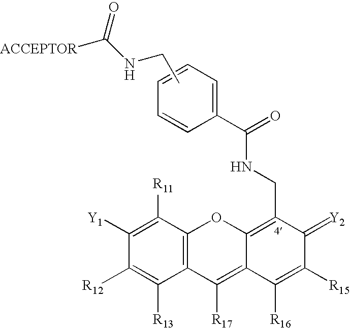 Figure US20070154927A1-20070705-C00031