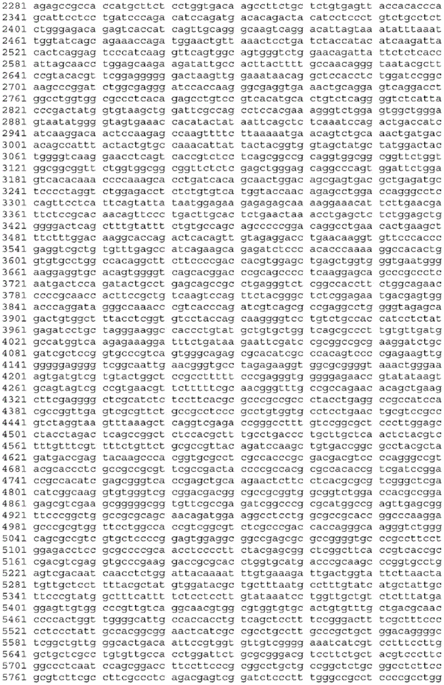 Figure BDA0003465582640001381