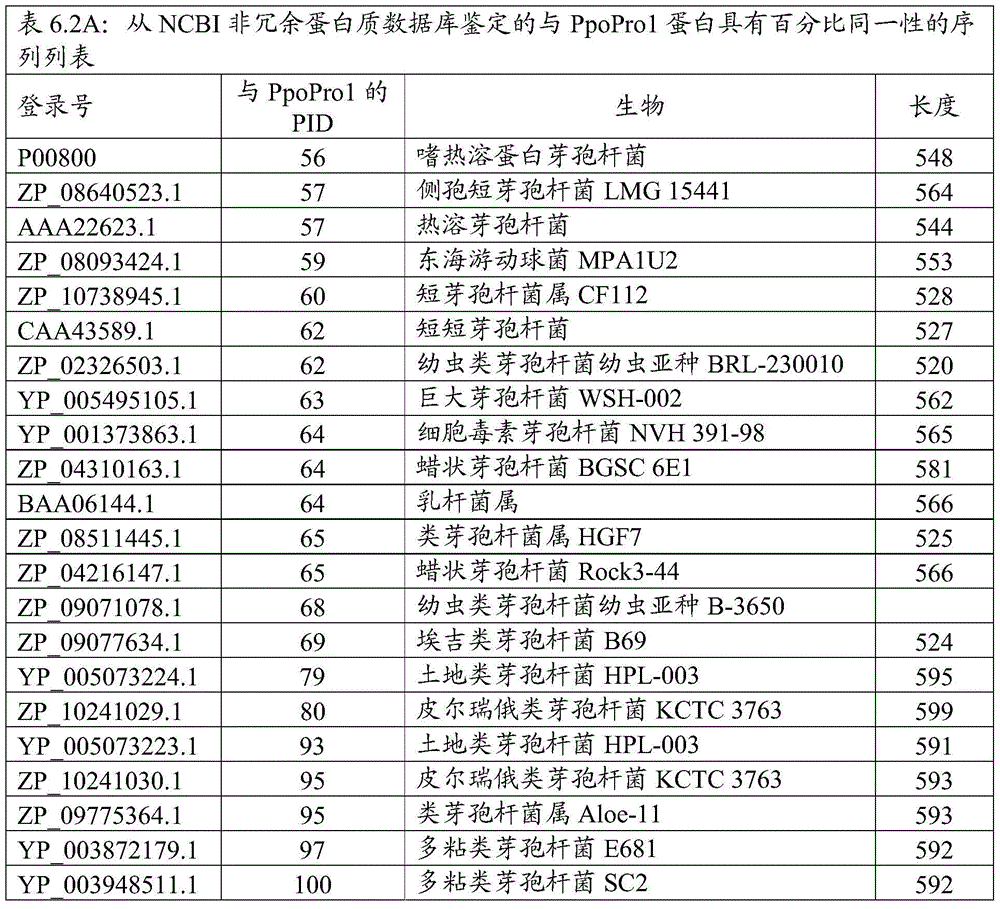 Figure BDA0000916970520001181
