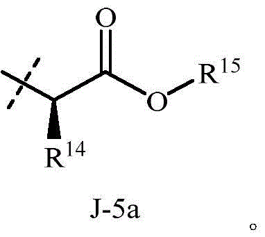 Figure FDA0002715387350000032