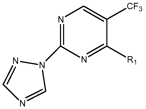 Figure imgf000005_0001