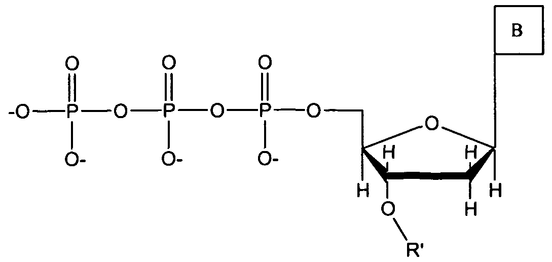 Figure imgf000053_0001