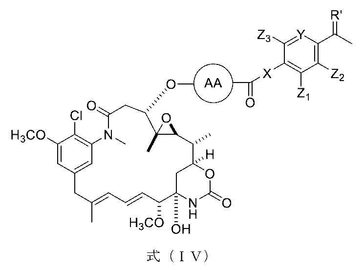 Figure 0007442821000049