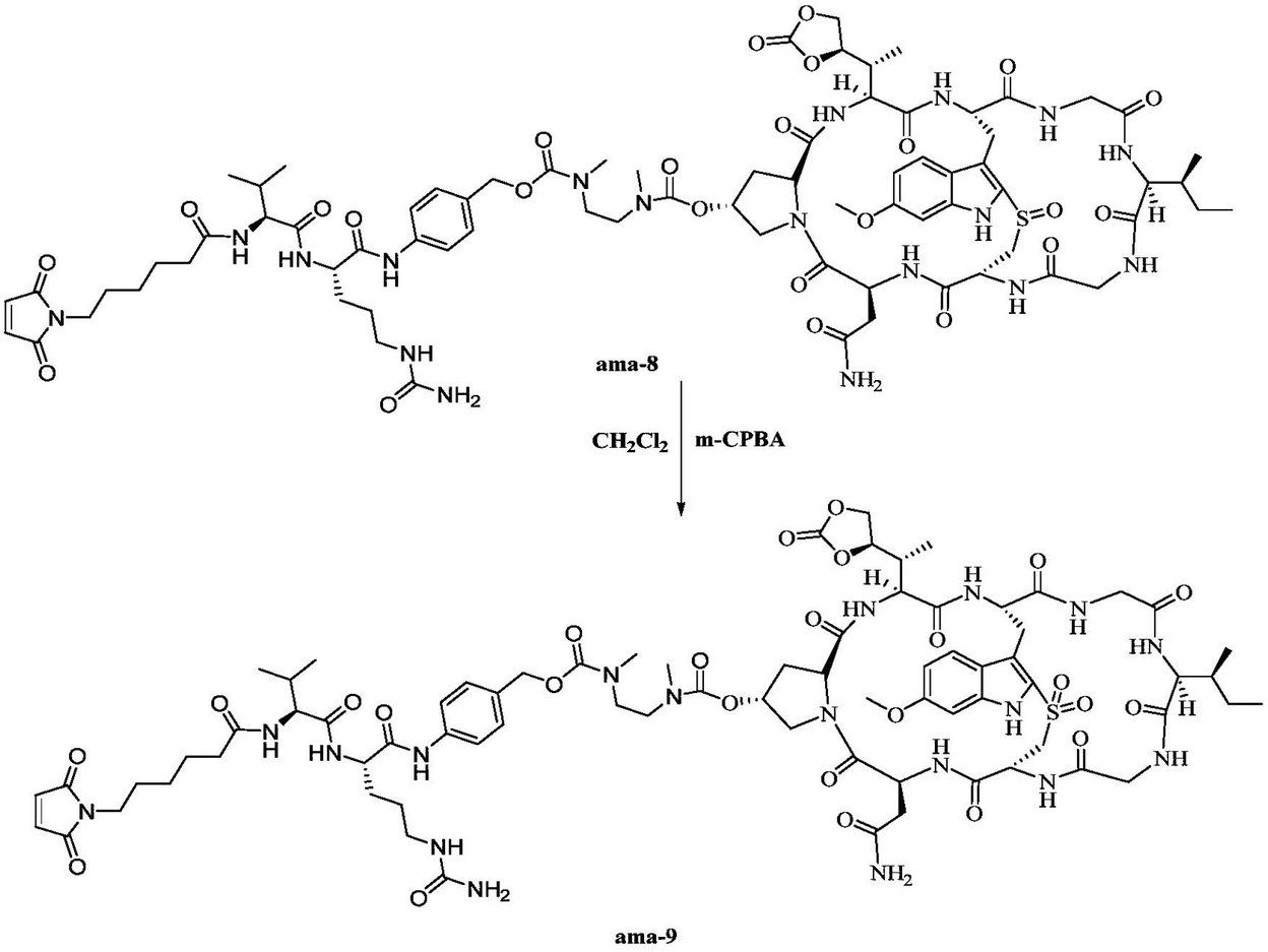 Figure 0007296396000016
