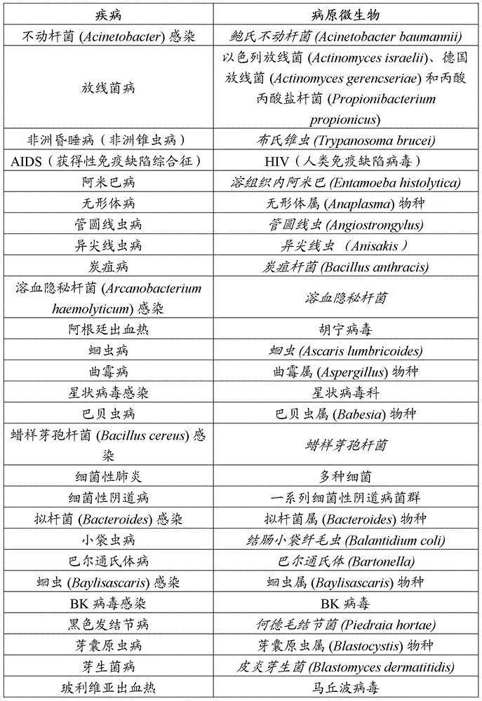 Figure BDA0003468533170000251