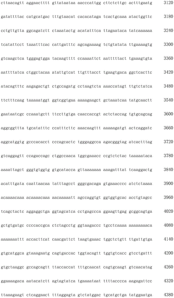 Figure IDA0003936212790000221