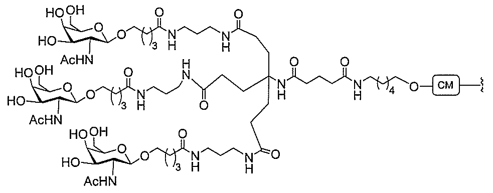 Figure 0006995478000274