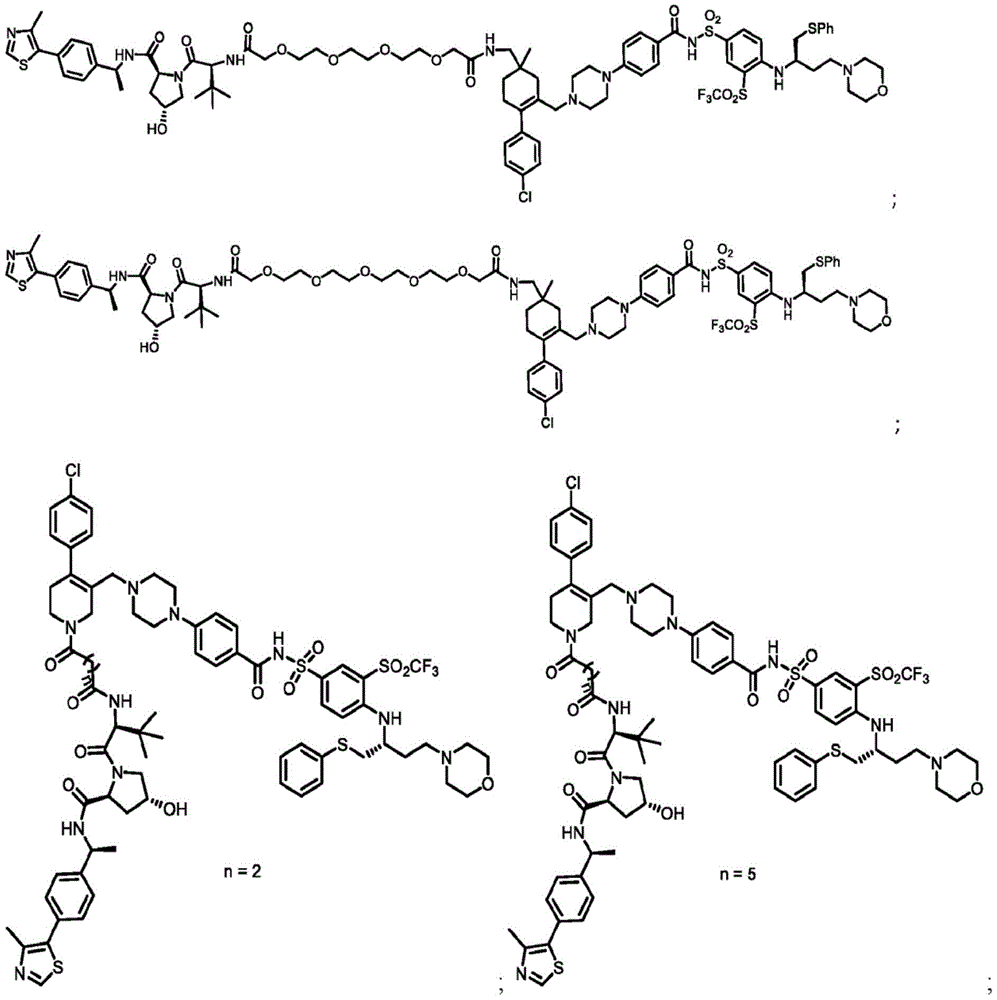 Figure BDA0003293294510000231