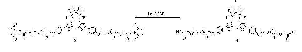 Figure 112007076196415-pat00044