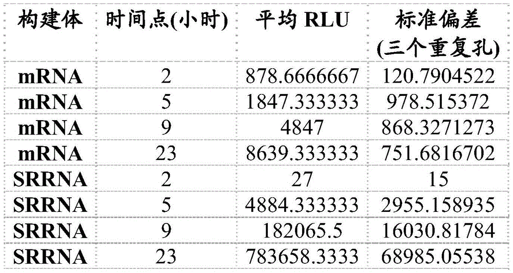 Figure BDA0002872168850001271