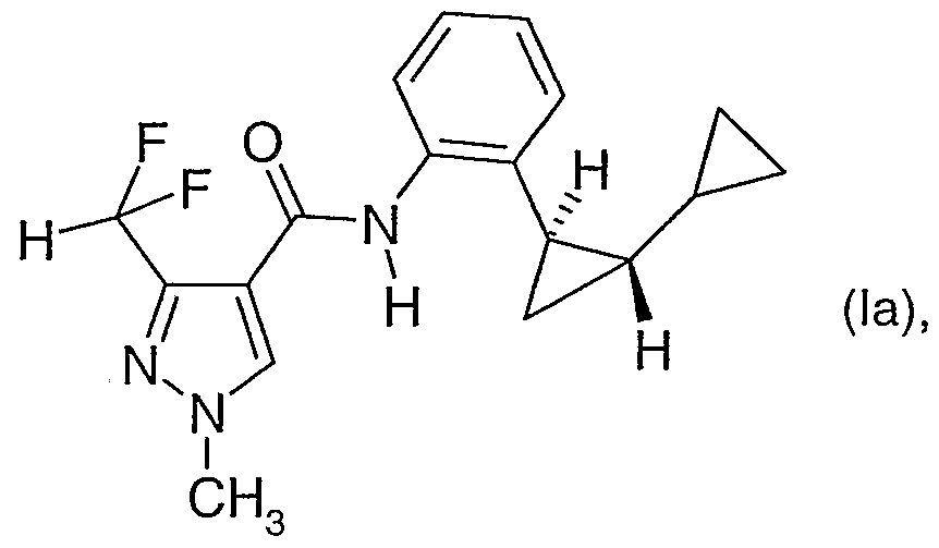 Figure imgf000005_0001