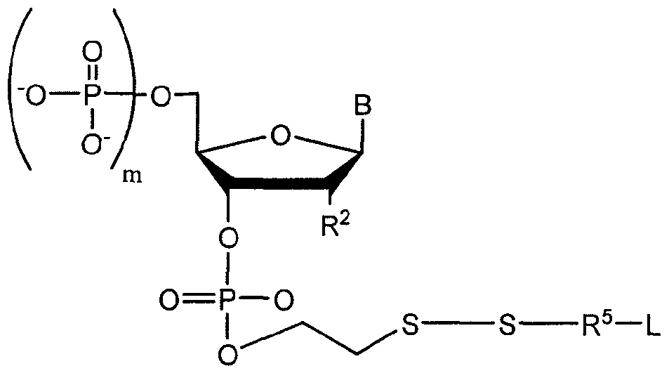 Figure imgf000009_0001