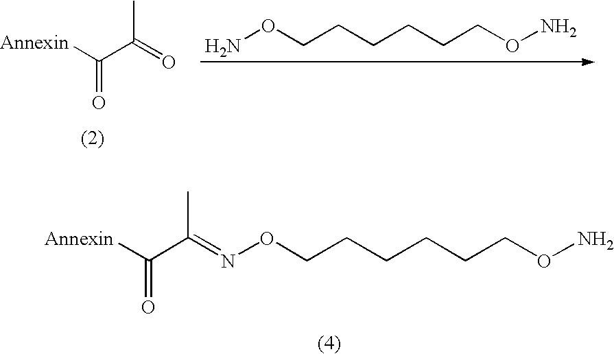 Figure US20100099649A1-20100422-C00037