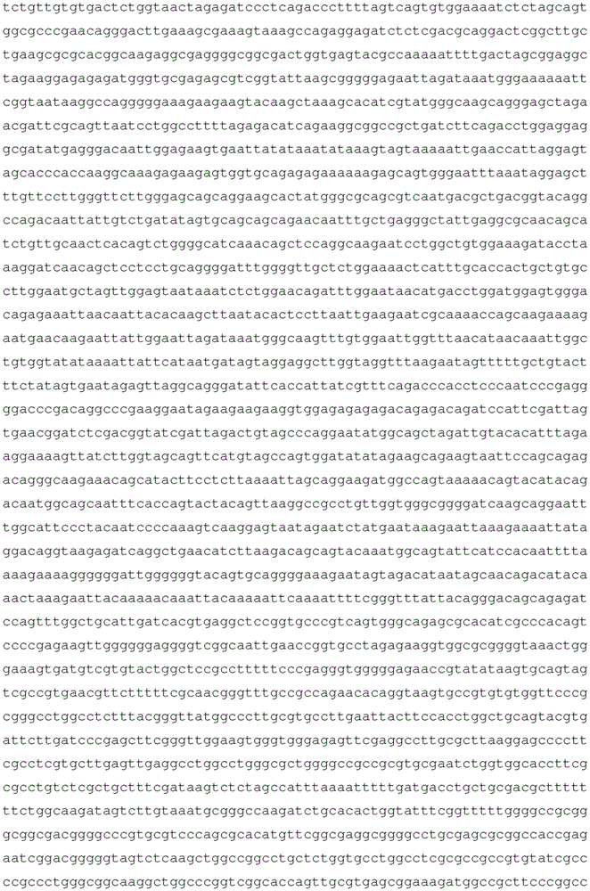 Figure BDA0003755608120001061