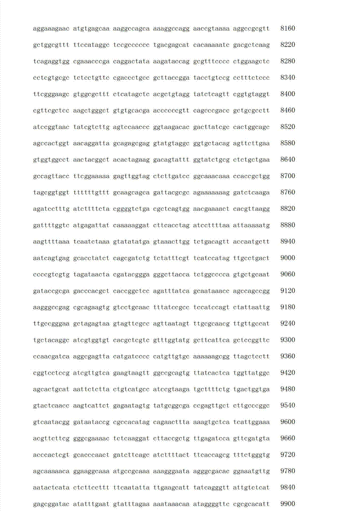 Figure IDA00001618592900101