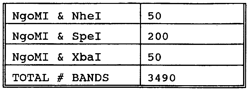 Figure imgf000245_0001