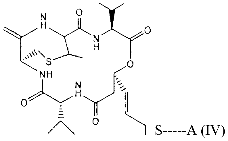 Figure imgf000017_0001