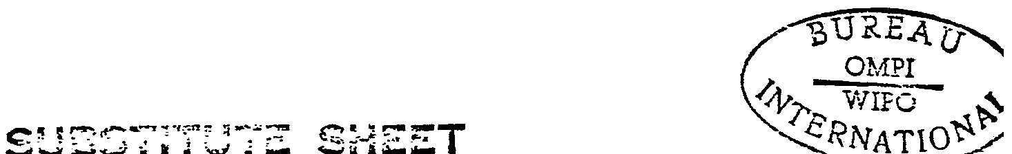 Figure imgf000020_0001