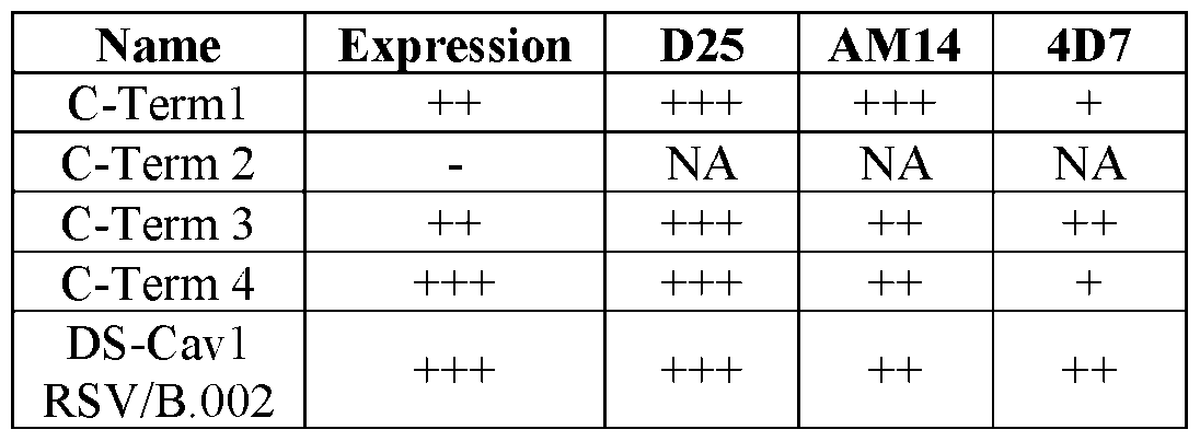 Figure imgf000095_0001