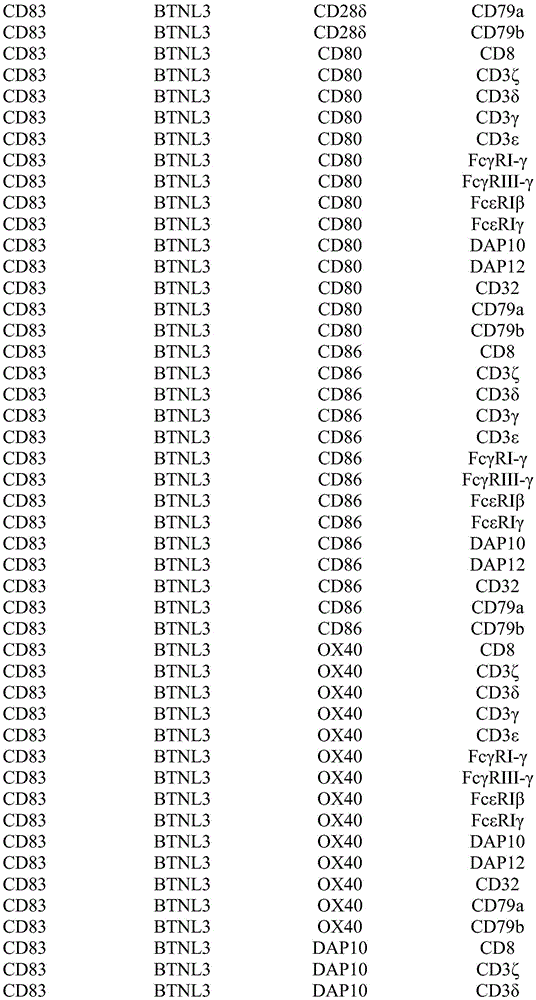 Figure BDA0002739446740001041