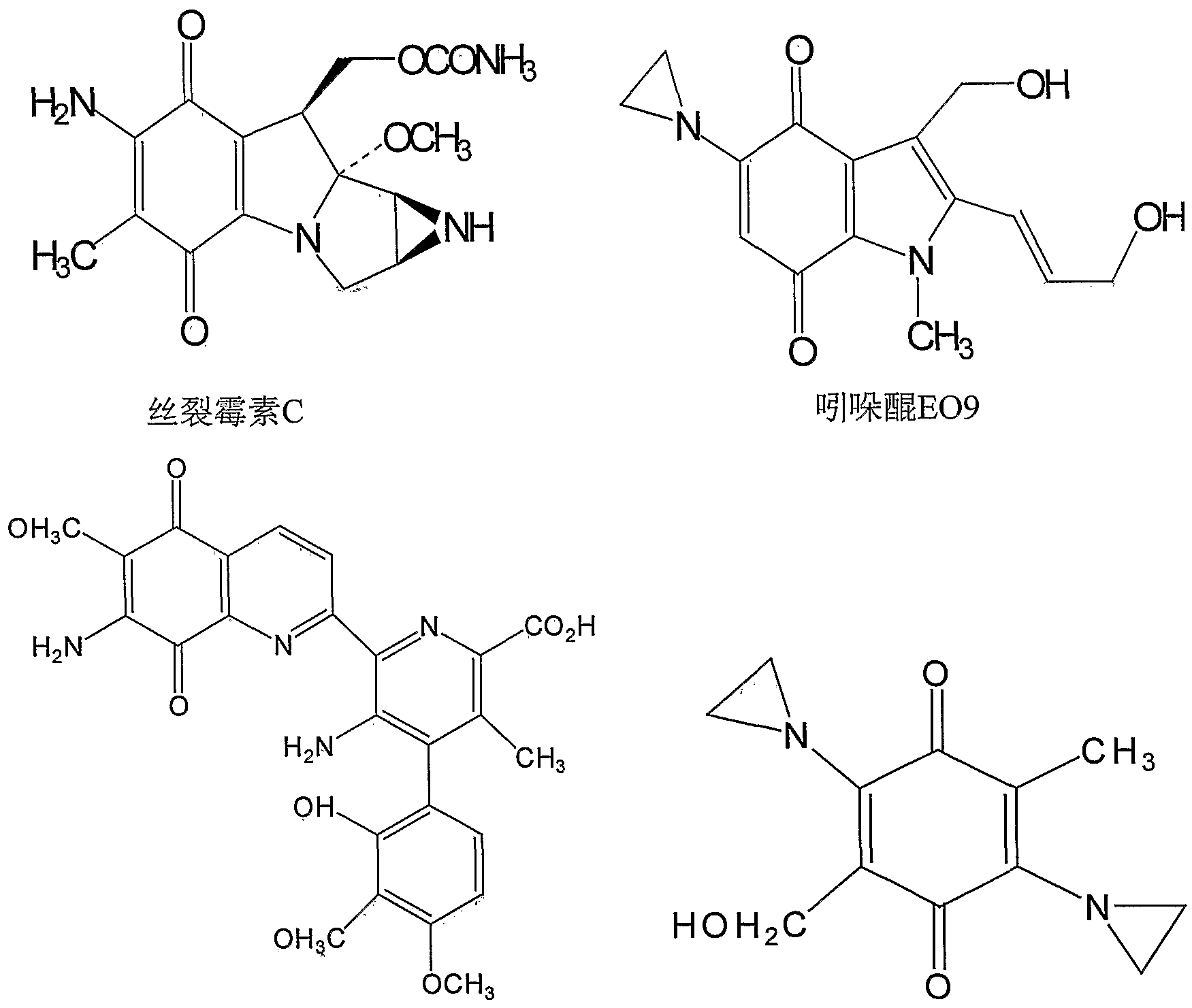 Figure imgf000004_0001