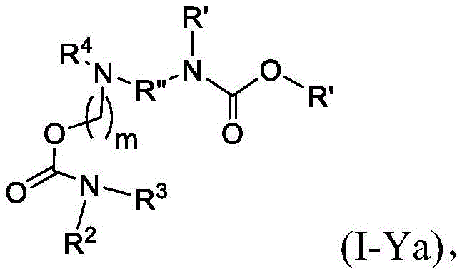 Figure BDA0003652566710000151